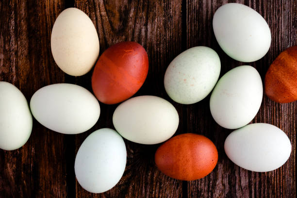 istock Blue, Green, and Brown Heritage Eggs On a Rustic Wood Background 1439226043