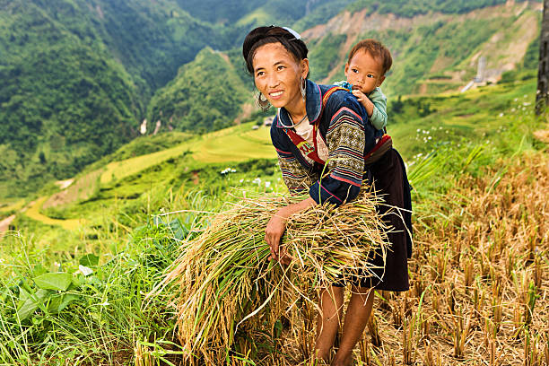 вьетнамский меньшинств люди-женщина с черный hmong hill tribe - bac ha стоковые фото и изображения