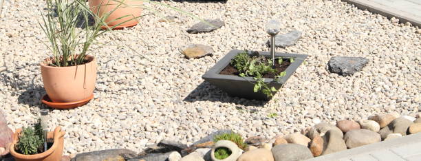 istock front yard with stones and plant 1439230022