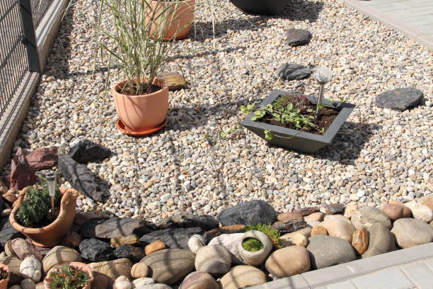 istock front yard with stones and plant 1439230127