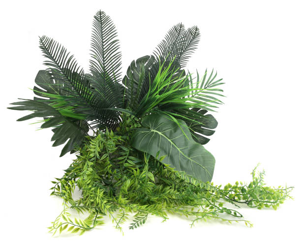 istock Artificial tropical plants bush isolated on white background. 1439232459