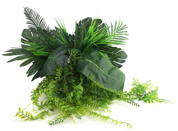 istock Artificial tropical plants bush isolated on white background. 1439232474