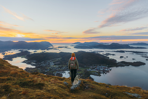 Female with backpack admiring the autumn in the mountains with her cute pug, and staying on the top of the scenic viewpoint of the sea with small islands during twilight in More og Romsdal county
