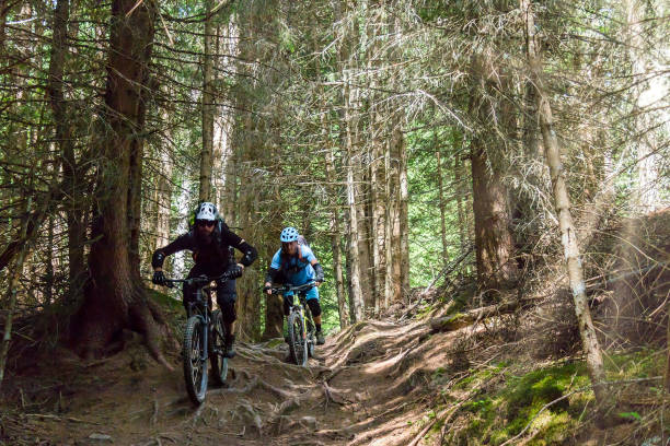 istock Mountainbiking over the roots, Italy 1439237456