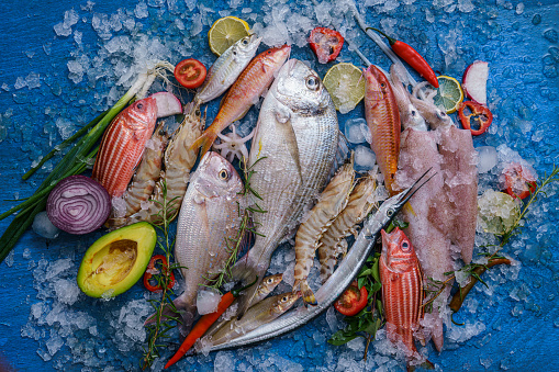 High angle view of various fresh fish and seafood decorated with ice cubes, lemon slices, herbs and vegetables on blue wooden background