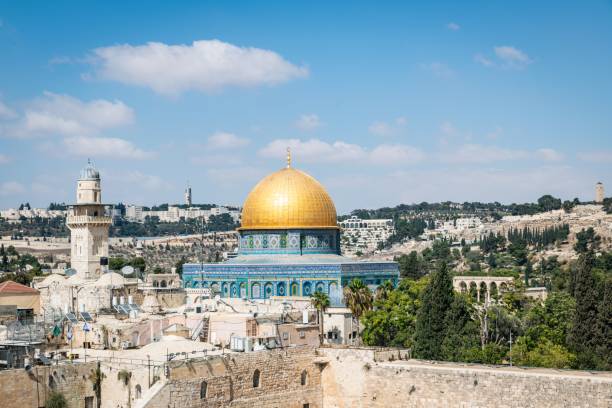 muro occidentale circondato dal verde sotto la luce del sole durante il giorno a gerusalemme, israele - jerusalem middle the western wall israel foto e immagini stock