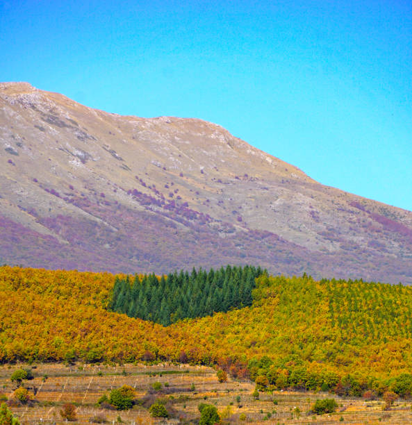 istock Landscape in eastern Albania in autumn 1439241400