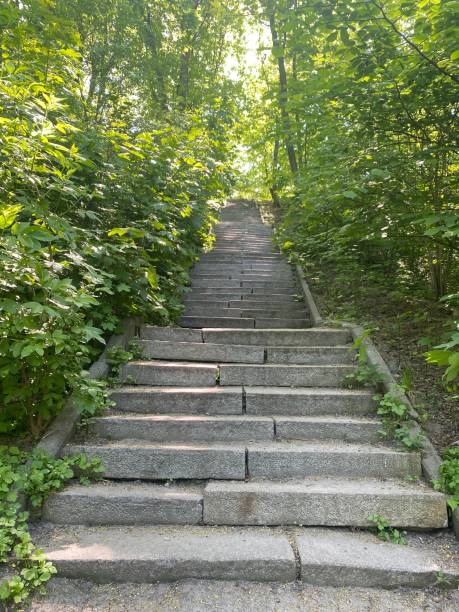 istock long stone steps iin a park leading up a hill 1439243307