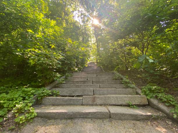 istock long stone steps iin a park leading up a hill 1439243437