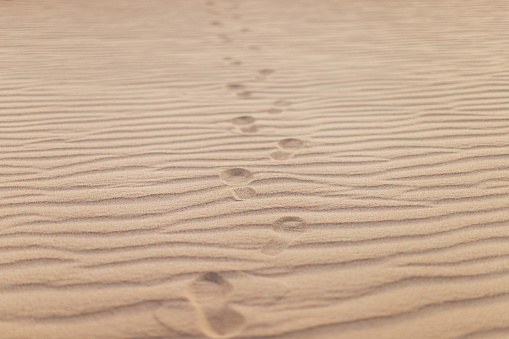 Background image of footprints on sand. Path leading into the distance in a desert. Selective focus