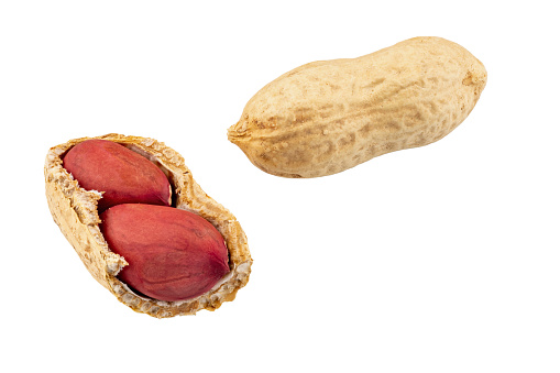 Group of peanuts isolated on white background. File contains clipping path.