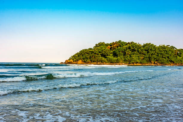 Peaceful and idyllic beach with the rainforest and the sea in Bertioga on the nort coast of the state of Sao Paulo, Brazil