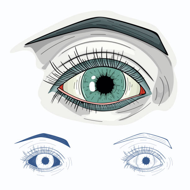 ilustrações de stock, clip art, desenhos animados e ícones de abstract picture of the eye. art illustration - artist art artists canvas human eye