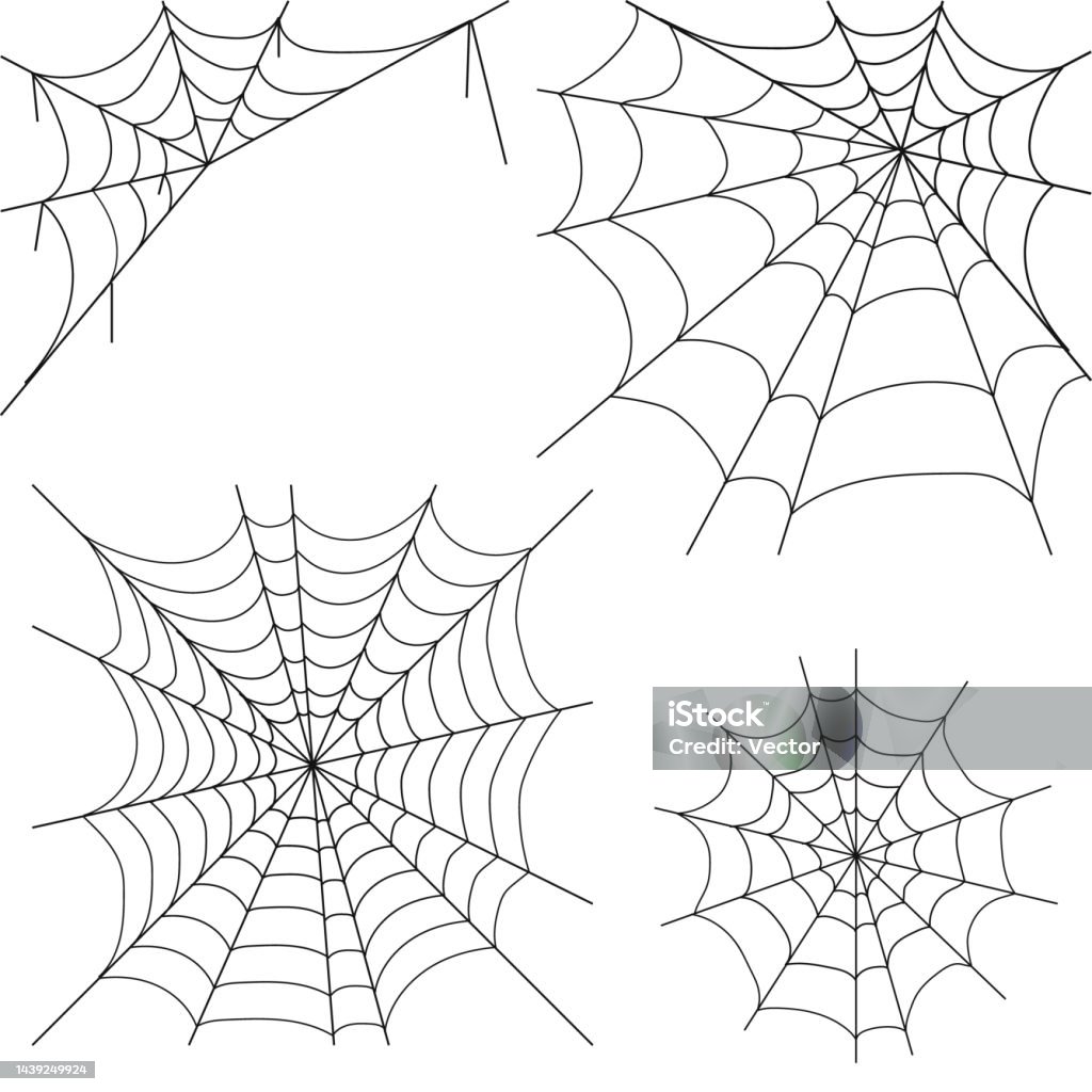 Mạng Nhện Web Thực Tế Được Dệt Bởi Một Con Nhện Trên Nền Trắng ...