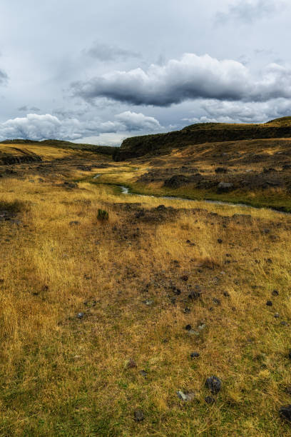 istock Landscape view Cotopaxi National Park, Ecuador 1439250308