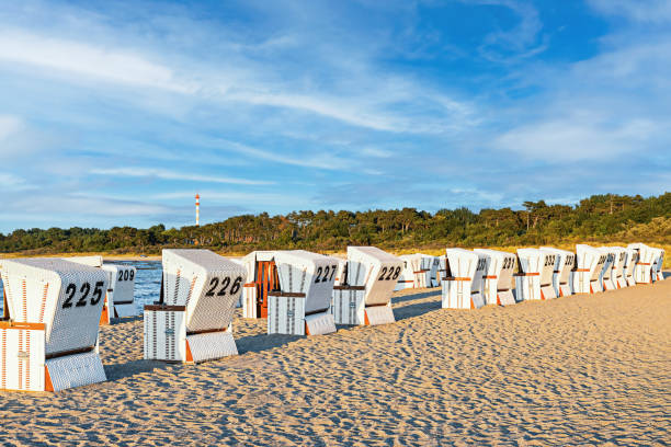 Many beach chairs on the coast stock photo