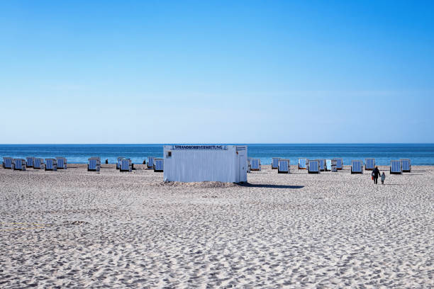 Many beach chairs on a sandy beach stock photo
