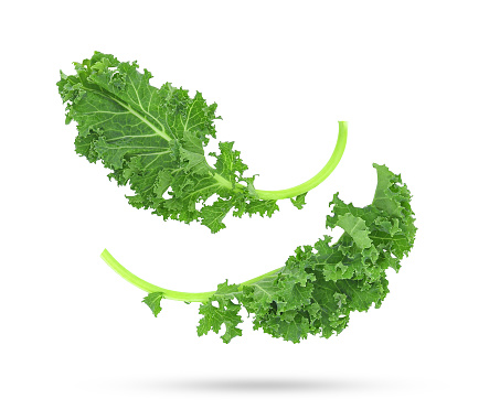 Fresh organic green kale leaf falling in the air isolated on white background.