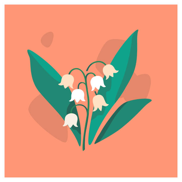 flower Branch of lily of the valley. Flat vector colorful illustration for cosmetics, perfumeries and food packaging. lily of the valley garden stock illustrations