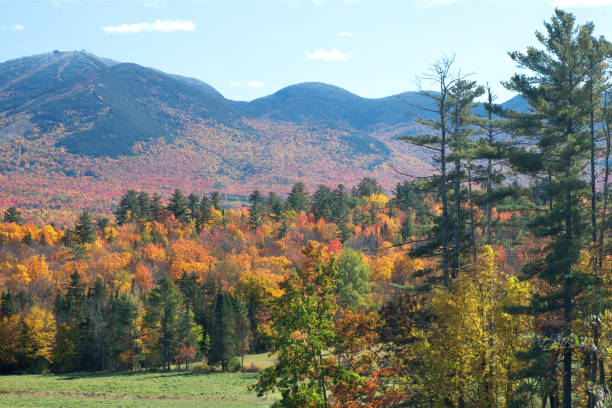 istock Fall foliage and mountain peaks in Franconia Notch State Park 1439256027