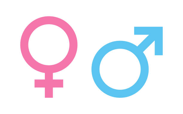 Male and female gender symbol icon illustration Male and female gender symbol icon illustration female gender symbol stock illustrations