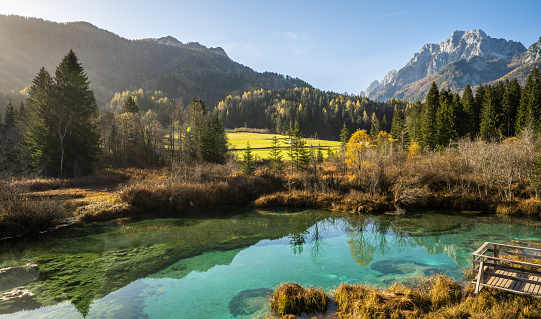 Silent morning on the green lake of Zelenci surrounded by forest, green meadows and mountains. Fall colors and landscape concept