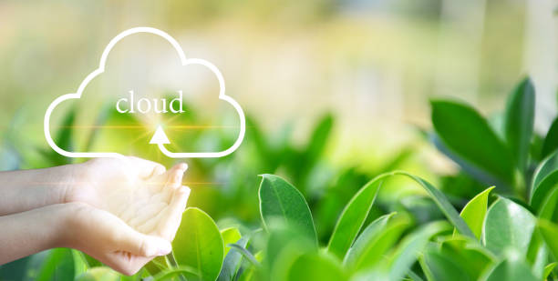 istock Concept of using cloud online system is convenient, economical, energy saving and low cost. 1439261875