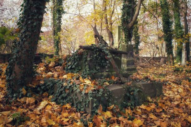 istock an old tomb covered with autumn leaves 1439262203