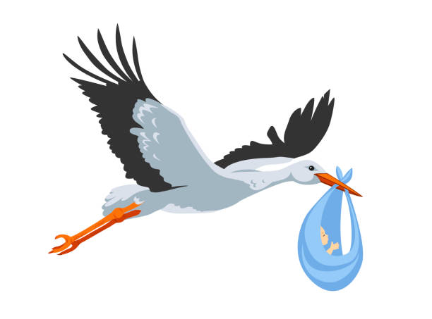 istock Stork carries newborn baby in a bag in its beak 1439262226