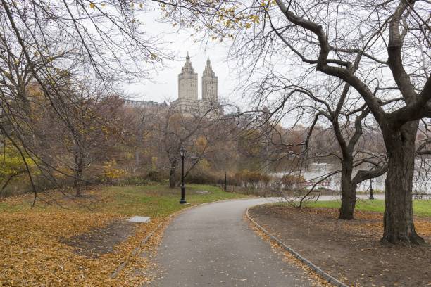 istock autumn in the park 1439273784