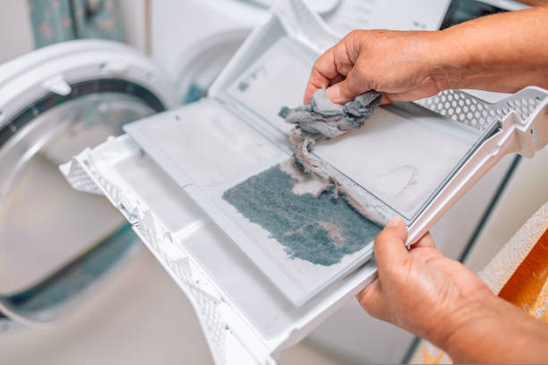 istock Dust and dirt trapped by the clothes dryer filter. 1439275300