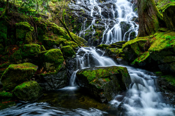 istock Mary Vine Falls, Sooke, Vancouver Island, BC 1439276637