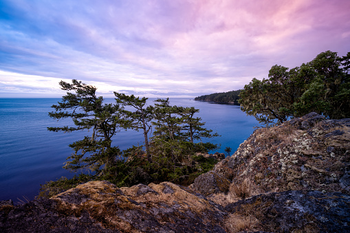 Late afternoon on the bluffs of Helliwell Provincial Park on Hornby Island, BC.