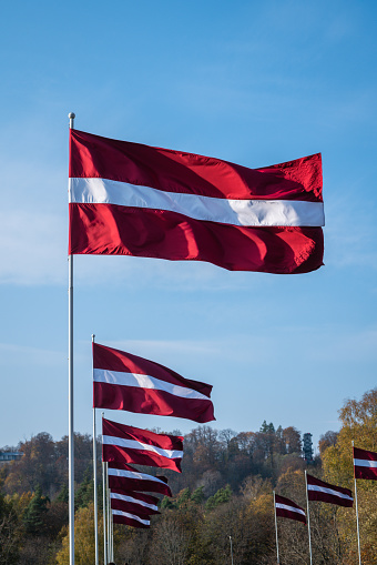 Latvian State Flags on the Gaujas Bridge in autumn at Sigulda.