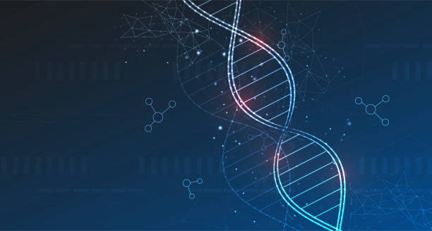 dna-konzept. das konzept der dünnen linien. wissenschaftsvorlage, mit dna-molekülen. dna digital, sequenz, glow-code-struktur. wissenschaftskonzept und nanotechnologie-hintergrund. vektorillustration - dna helix helix model evolution stock-grafiken, -clipart, -cartoons und -symbole