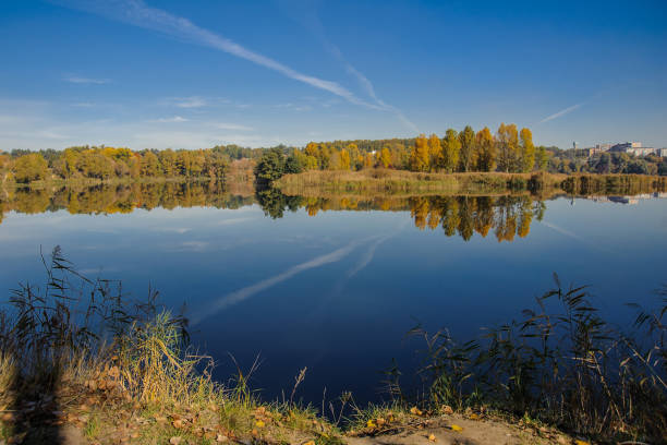 istock Shore of a lake with a tree against the sky 1439283724