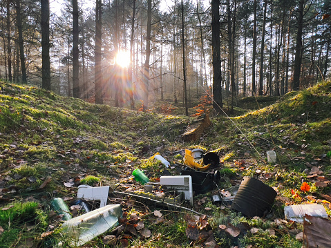Trash in woods during sunrise