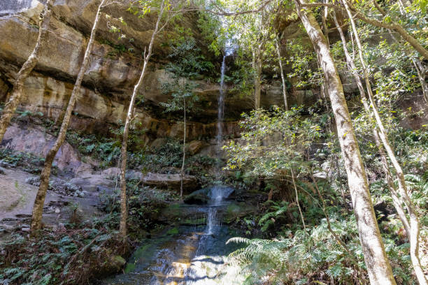 mermaid cave avec cascade dans le parc national des blue mountains, arrière-plan avec espace de copie - cave fern flowing forest photos et images de collection