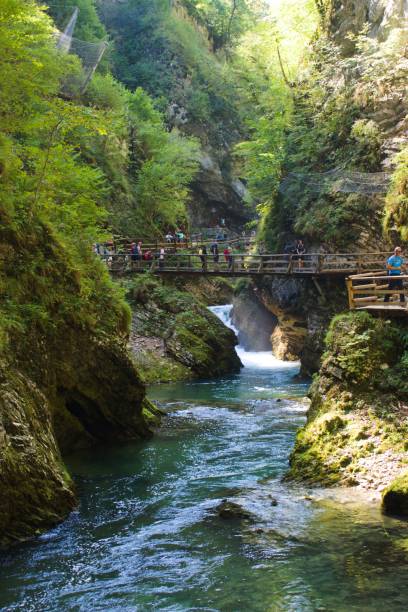 istock Nature in Triglav NP, canyon Vintgar 1439287586