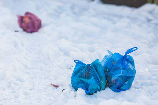 istock Garbage bags on snow. Garbage removal. Winter background. Weather. Climate 1439291676