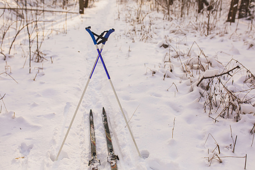 Skis and ski poles on snow in forest. Sport. Weather. Climate