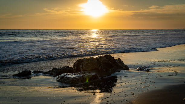 istock Golden Sunset Reflecting off Wet Sand on Beach 1439294918