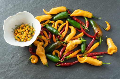 A cornucopia of brightly colored peppers harvested from the garden in fall on a gray slate background; ingredients