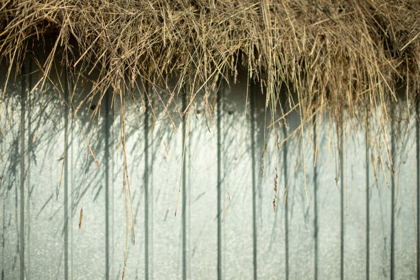 siano w wiosce. siano i płot. szczegóły krajobrazu. - thatched roof zdjęcia i obrazy z banku zdjęć