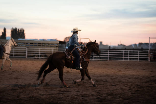 istock Cowgirls on team roping rodeo action 1439305505