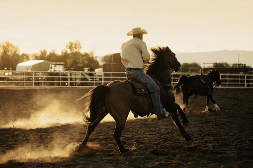 Team roping rodeo action in a private ranch at sunset