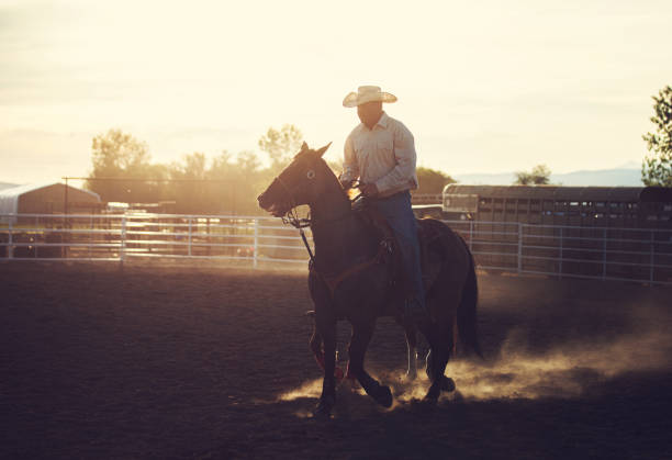 istock Cowboy moving horses at a private ranch during a team roping event 1439306002