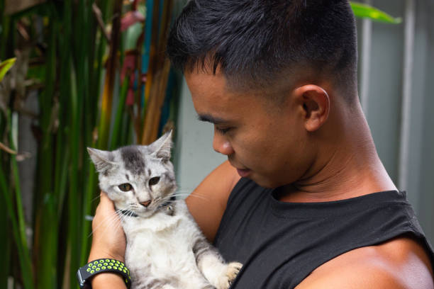 istock Caring Filipino young man holding gray cat 1439307029