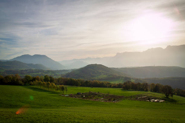 istock Romage 10 2022 
walk through the fields in the countryside in autumn 1439309051