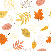 istock Autumn Leaves Seamless Pattern 1439314246